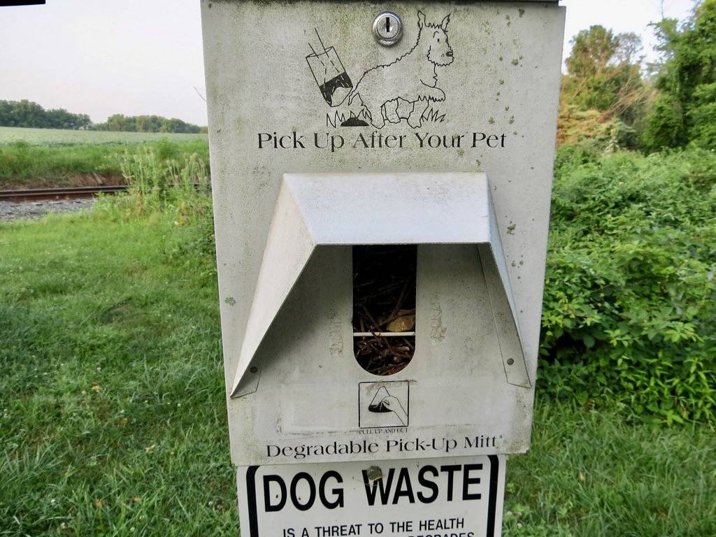 House Wren Nest (Norristown Farm Park) by stinkenroboter is licensed under CC BY-NC 2.0.